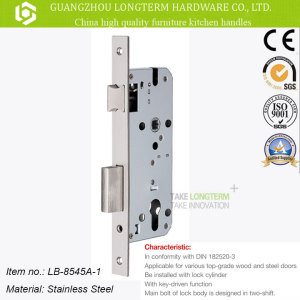 Top Grade 304 Stainless Steel Gate Door Lock Body